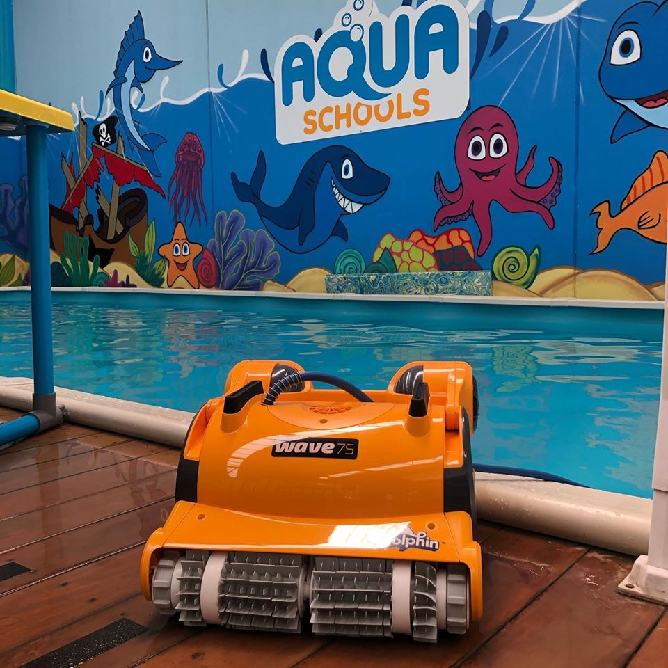 Dolphin Wave 75 Pool Cleaner