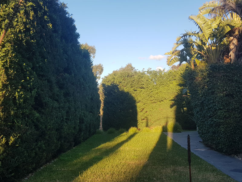 Joel's Tree Services