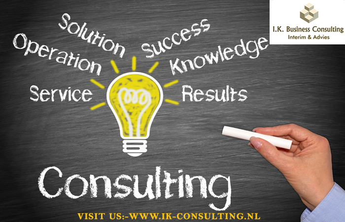 Business Coach in Netherlands – Why You Need A Professional To Guide You On Business