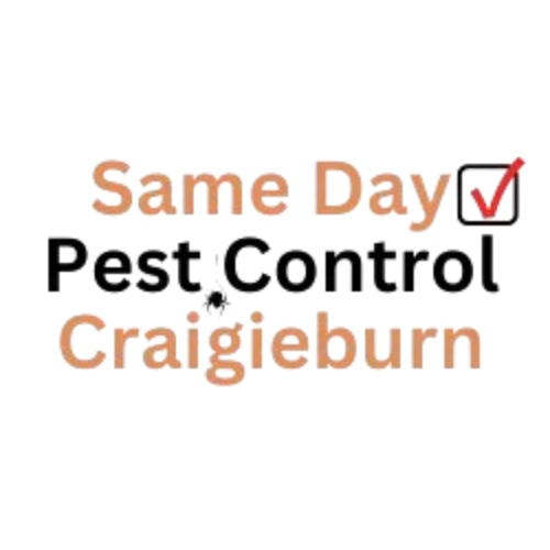 Same Day Pest Control Craigieburn