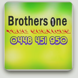 Brothers One Newcastle Tree Services