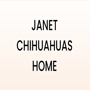 JANET CHIHUAHUAS HOME