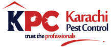 Karachi Pest Control Services