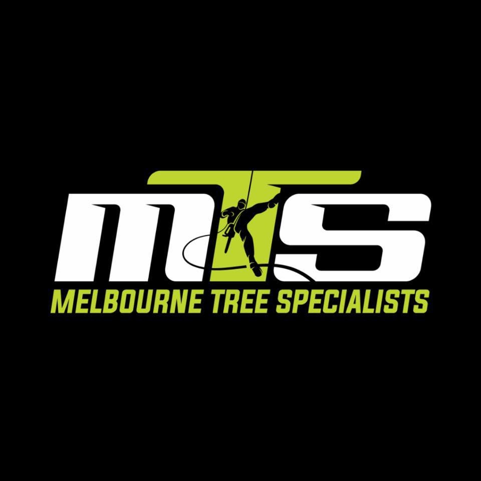Melbourne Tree Specialists