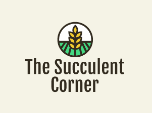 The Succulent Corner