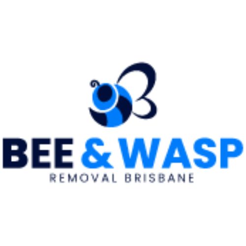 Bee Wasp Removal Brisbane