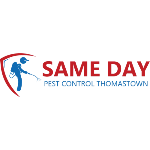 Same Day Pest Control Thomastown