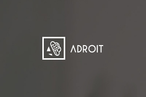ADROIT INFORMATION SOLUTIONS PTY LTD