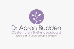 Dr Aaron Budden Specialist Obstetrician and Gynaecologist