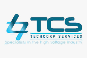 Protection Relay Testing - TechCorpServices