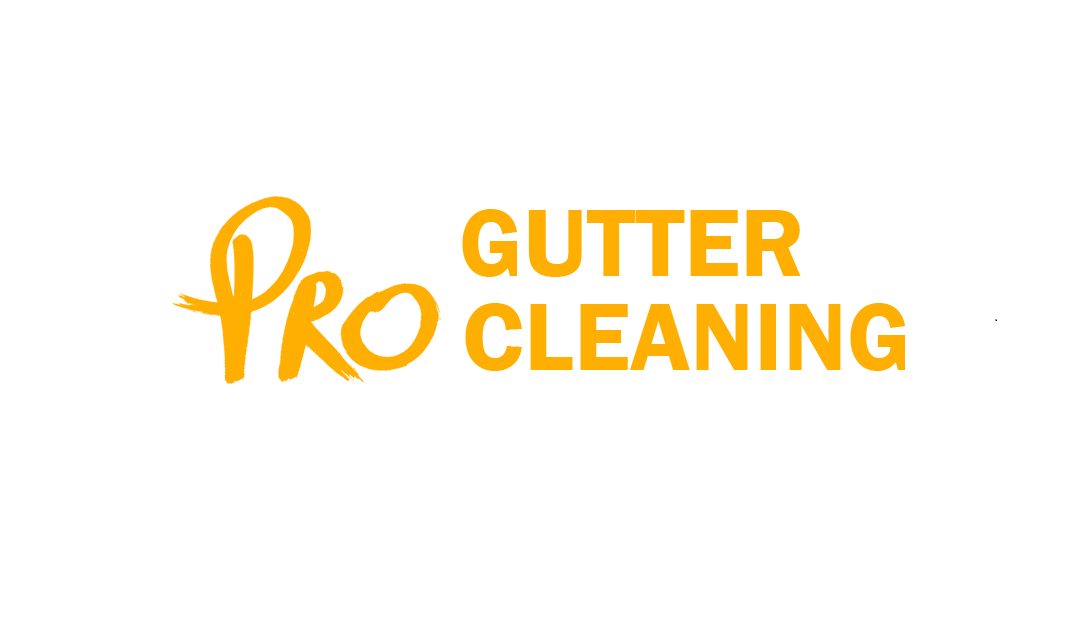 Pro Gutter Cleaning Melbourne