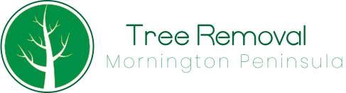 Seaford Tree Removal Experts