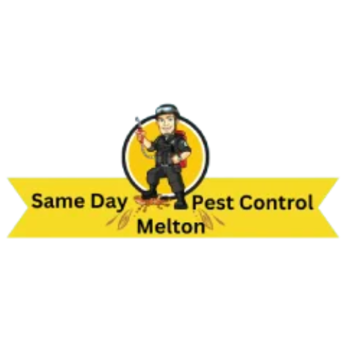 Same Day Pest Control Melton