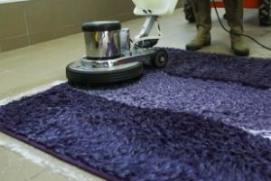 Carpet Cleaning Ashmore