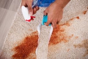 Carpet Cleaning Auchenflower