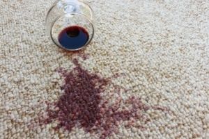 Carpet Cleaning Botany