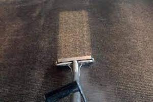 Carpet Cleaning Carine