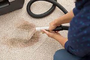 Carpet Cleaning Greenwith