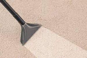Carpet Cleaning Prospect