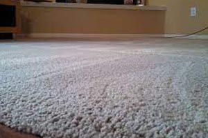 Carpet Cleaning Walkerville
