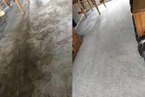 Carpet Cleaning Warradale