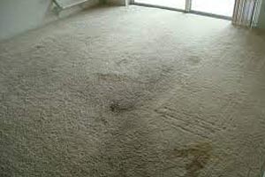 Carpet Cleaning West Lakes