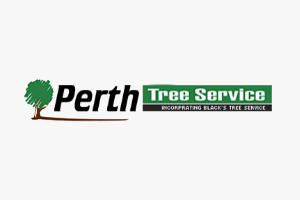 Perth Tree Service