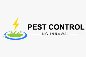 Pest Control Ngunnawal