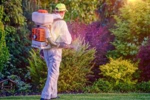 Pest Control Woollahra