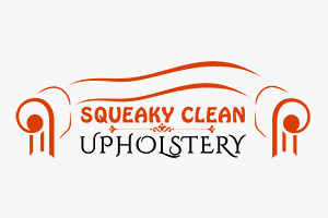 Squeaky Clean Upholstery