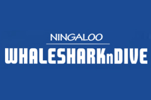 Whale Shark Tours - Ningaloo Whaleshark n Dive