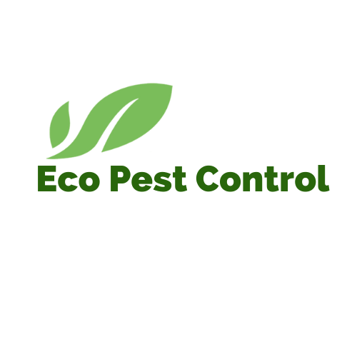 Eco Pest Control Gold Coast
