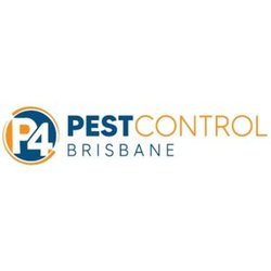 Pest Control 4 Brisbane