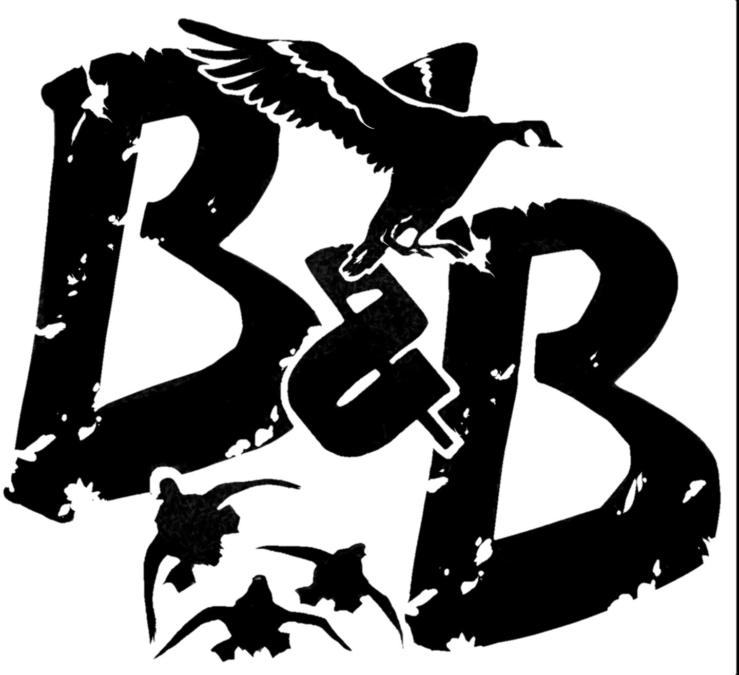 Birds&BucksOutdoors