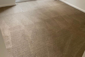 Carpet Cleaning Bridgeman Downs