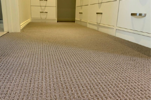 Carpet Cleaning Bronte