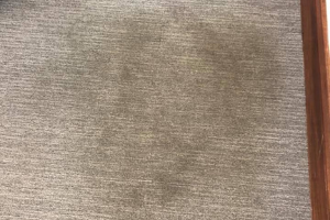 Carpet Cleaning Bulimba