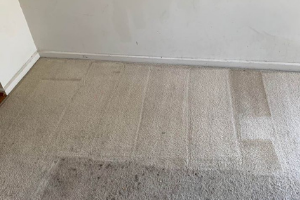 Carpet Cleaning Cammeray
