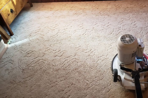 Carpet Cleaning Canning Vale