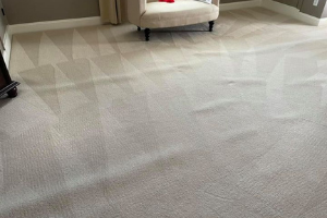 Carpet Cleaning Conder
