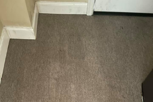 Carpet Cleaning Crows Nest