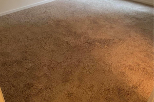 Carpet Cleaning Epping