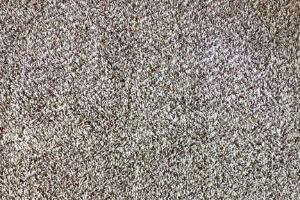Carpet Cleaning Everton Park