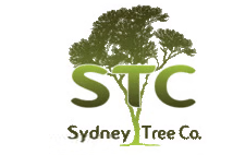 Sydney Tree Company