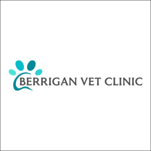 Berrigan Vet Clinic | Animal Hospital
