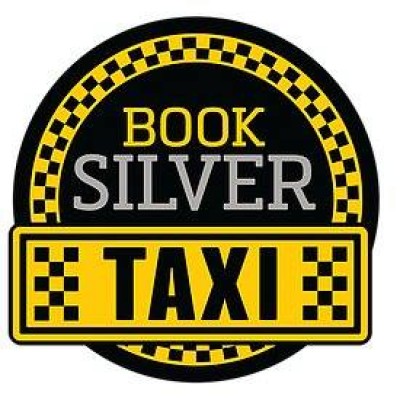 Book Silver Taxi