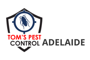 Tom's Pest Control Adelaide