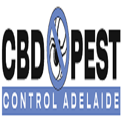CBD Termite Control Adelaide