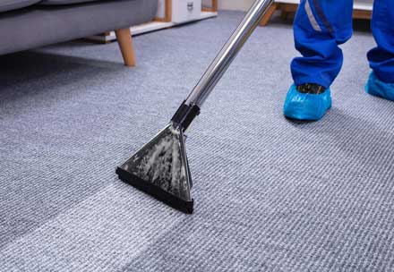 Good Job Carpet Cleaning Hobart