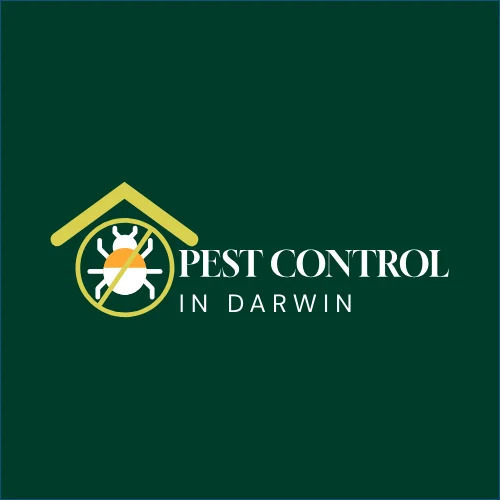NT Bug Busters